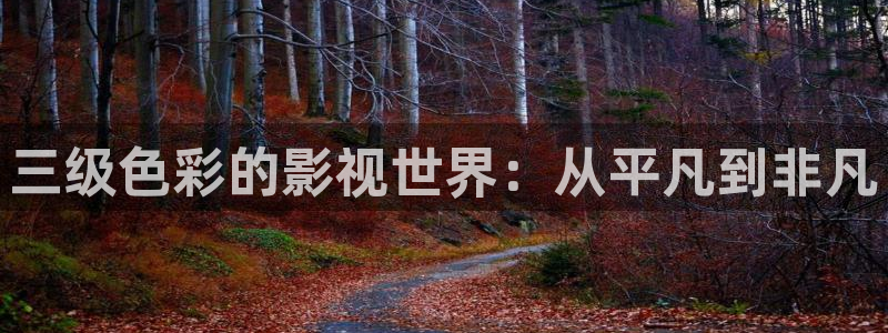 父母爱情星辰影视