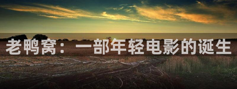 星辰影院免费观看全集在线播放