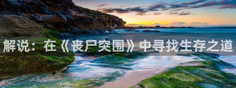 星辰影视在线观看全集免费高清