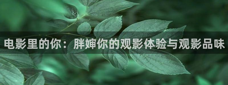 黑帮大佬和我的365天星辰影院