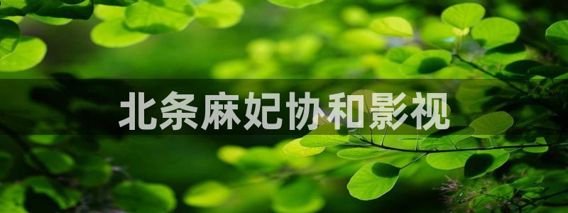 伦理星辰影院：北条麻妃协和影视