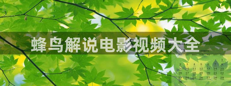 平凡的世界星辰影视：蜂鸟解说电影视频大全