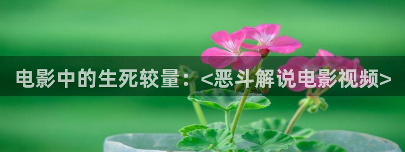 星辰影视高清在线观看