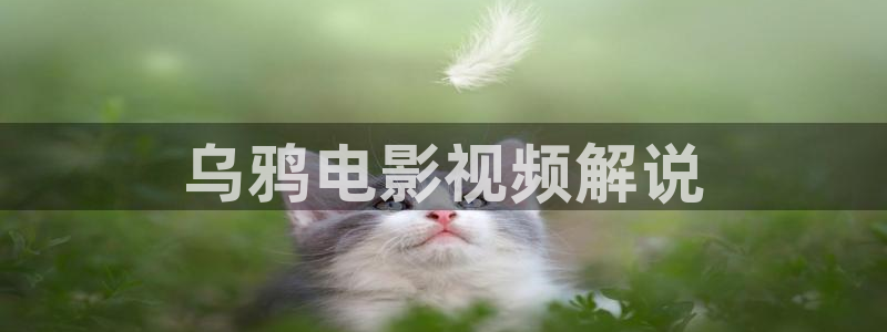 长风渡电视剧星辰影院