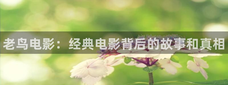 星辰影院电影全集观看