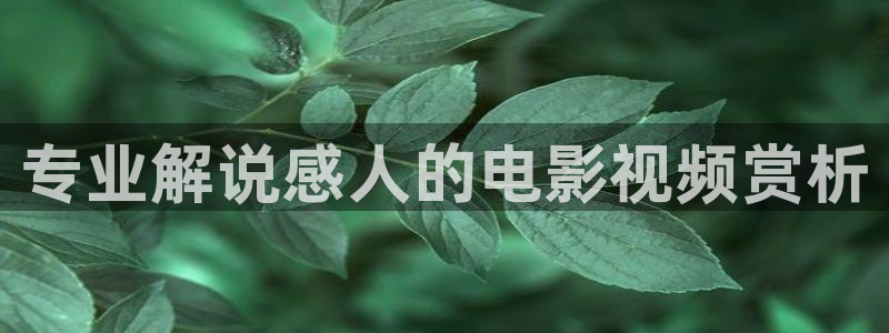 星辰网电影