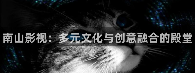 少年白马星辰影院免费观看