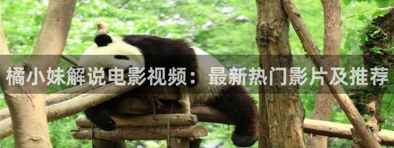 开端在线观看星辰影院