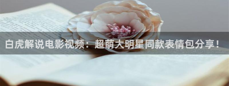 星辰影视山河令