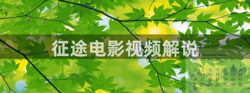 雁归时电视剧免费观看星辰影院