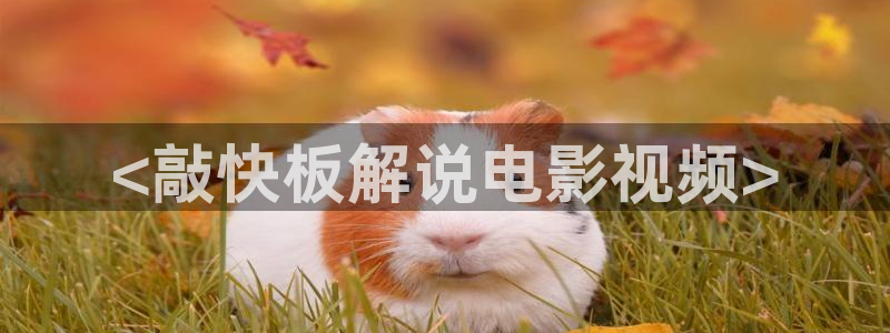 老九门在线观看星辰影院