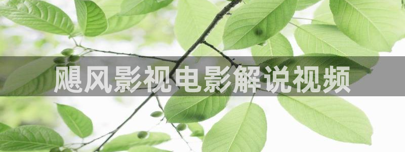 加勒比海盗星辰影院