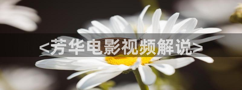 沧元图星辰影院