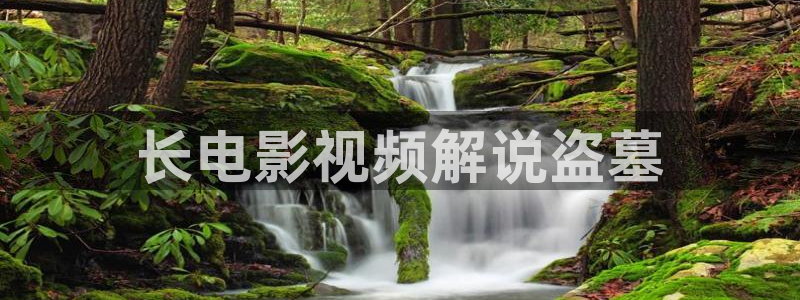 唐砖电视剧全集免费高清在线观看星辰影院