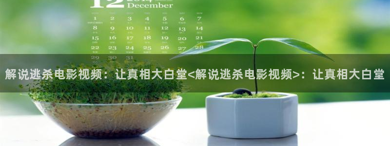 驻站电视剧免费观看星辰影院