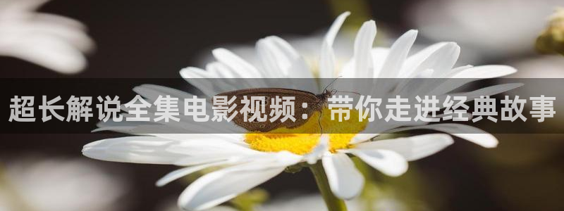 星辰影视手机高清免费观看