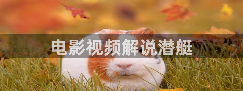 猎罪图鉴2在线观看免费观看星辰影院