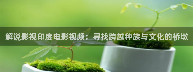 唐人街探案星辰影院：解说影视印度电影视频：寻找跨越种族与文化的桥墩