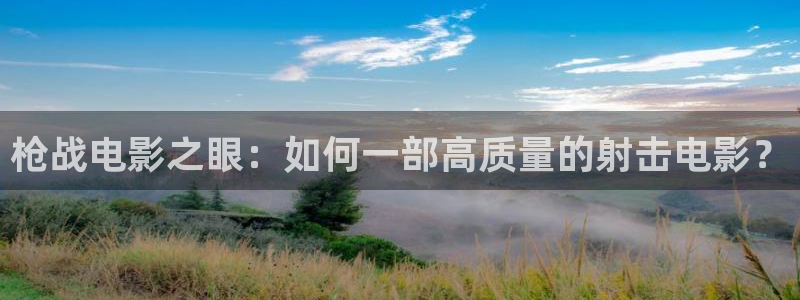 闪耀的她星辰影院：枪战电影之眼：如何一部高质量的射击电影？