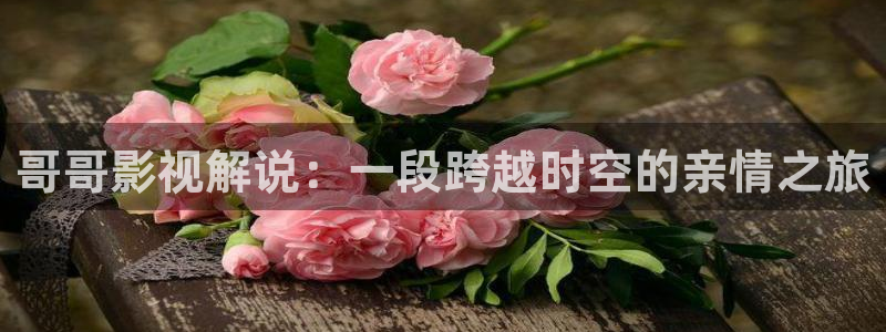 以美之名星辰影院
