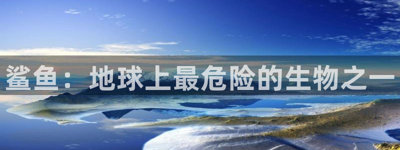 现在就出发第二季免费观看完整版星辰影院