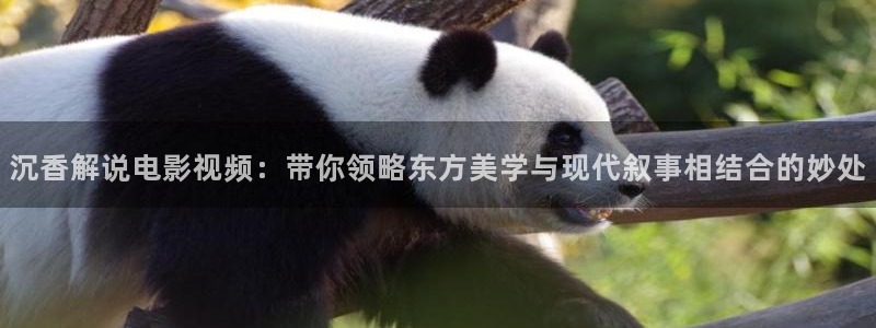 值得爱星辰影院在线观看