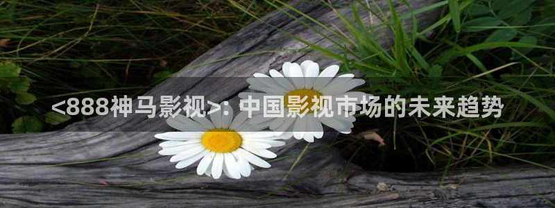 人生之路免费观看星辰影院