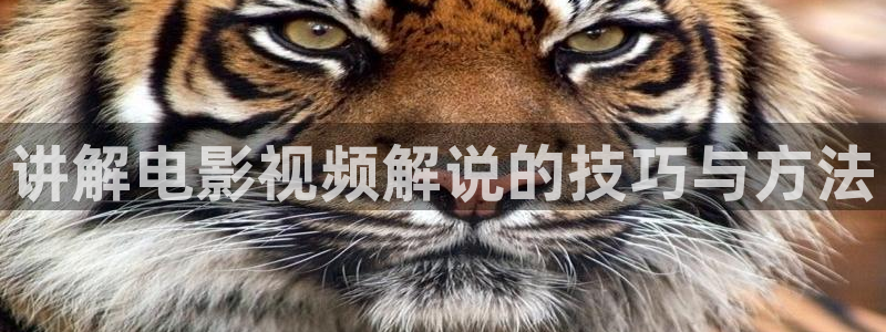 星辰影视最新版本下载