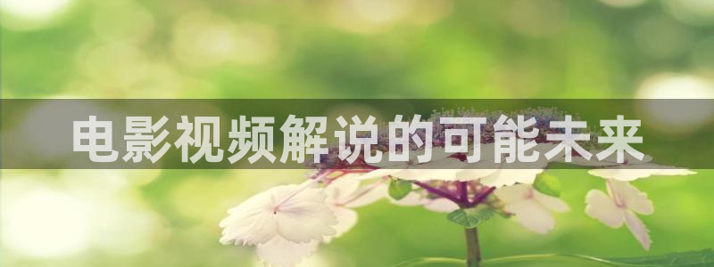 以美之名电视剧免费观看完整版星辰影院