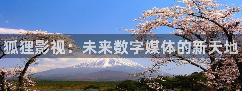 星辰魅影