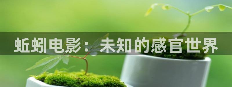 炽道电视剧免费观看星辰影院