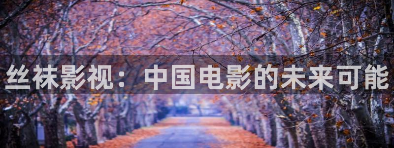 星辰影视在线观看全集免费播放高清