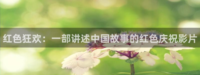 星辰影院我的团长我的团