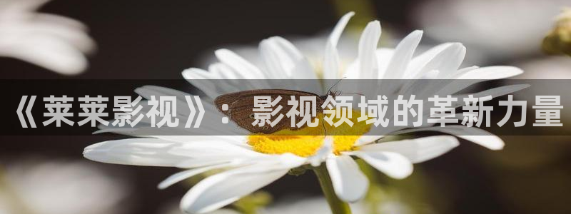 海上繁花全集46集免费观看星辰影院